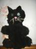 my wonderfully daggy cat puppet made for my friend, Jean Michelle