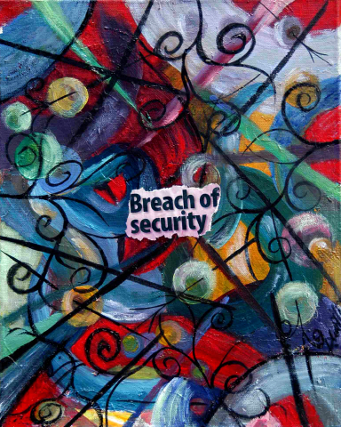 Breach of Security by Donna Williams 