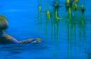 On Reflection by Donna Williams