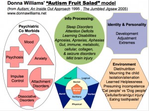 Donna Williams' Fruit Salad Model of Autism