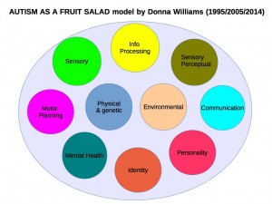 Autism as a fruit salad model 2